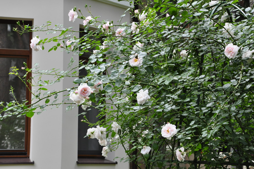 кп "Успенские дачи" - Уход за садом - 100% качество!