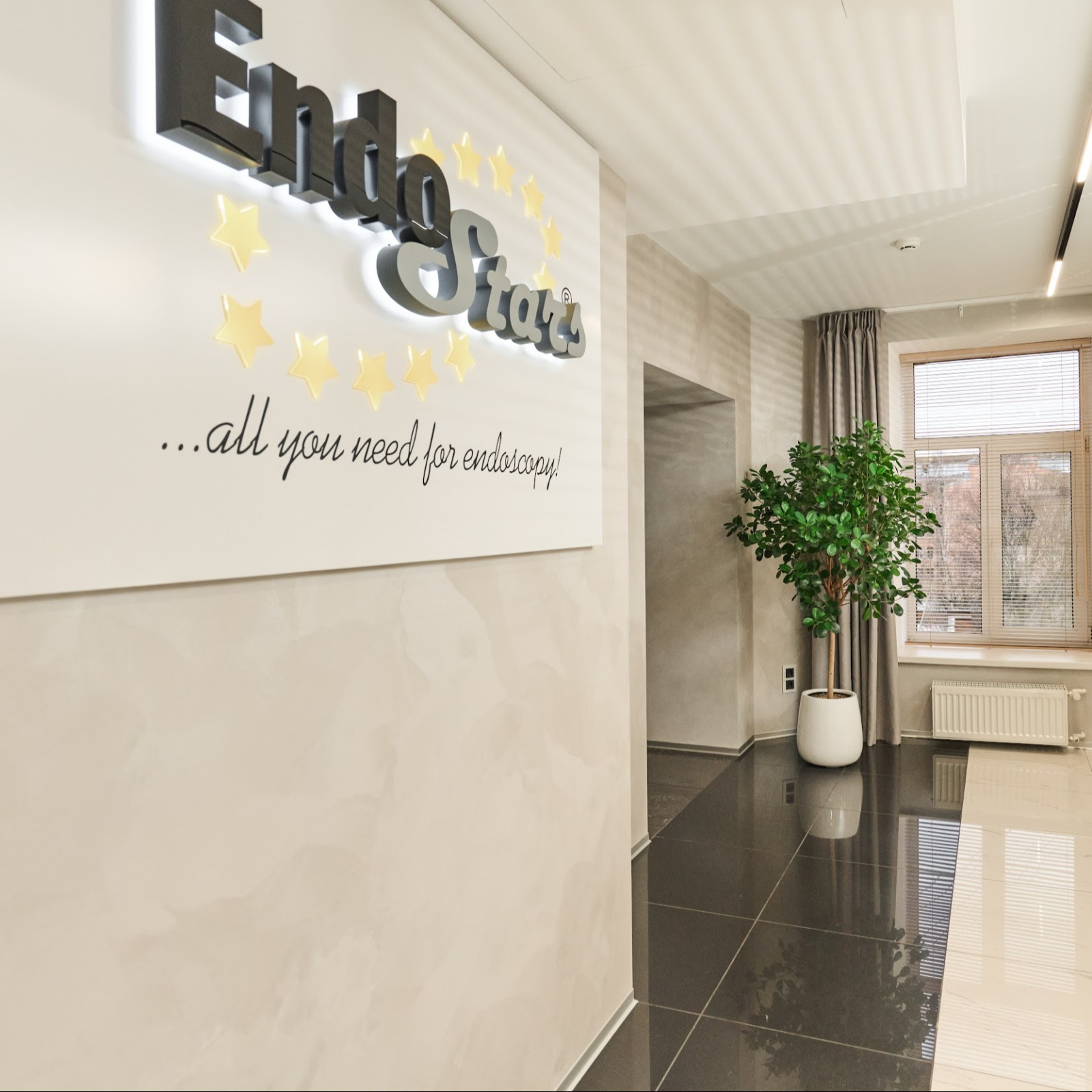 Озеленение офиса Endo Stars