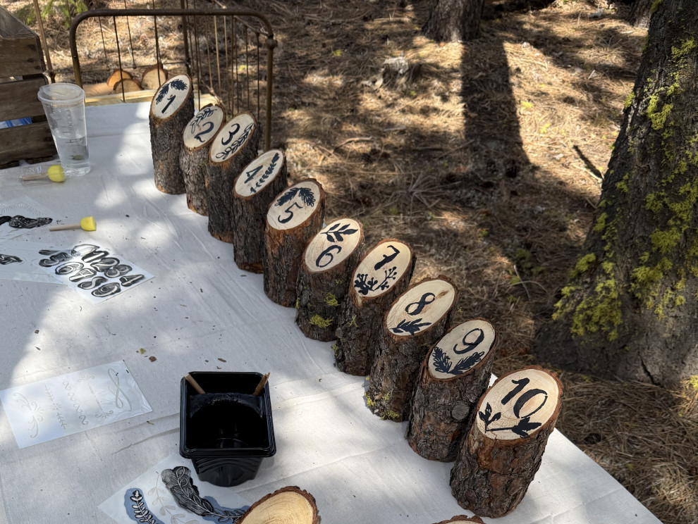 Wedding Design in the Forest of Chelan, WA