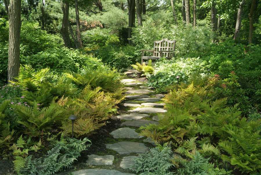 Here we created a stepping stone path into the woods and then planted its borders with mixed ferns, sedges and flowering shrubs. Its a peaceful place to unwind and reflect.  Property located in Bedfor