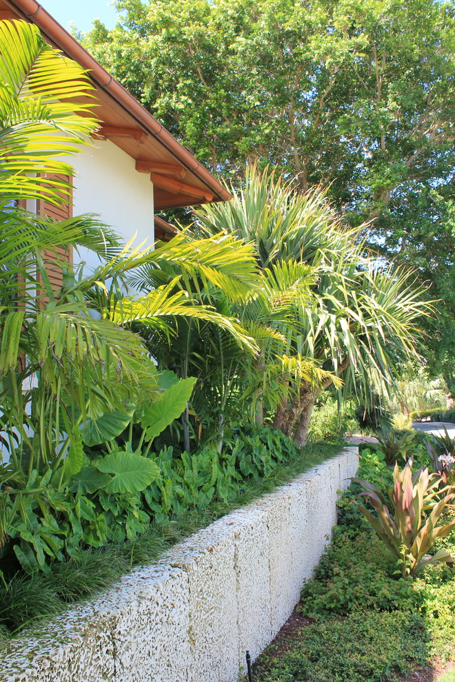 Tropical side yard garden in Miami.
