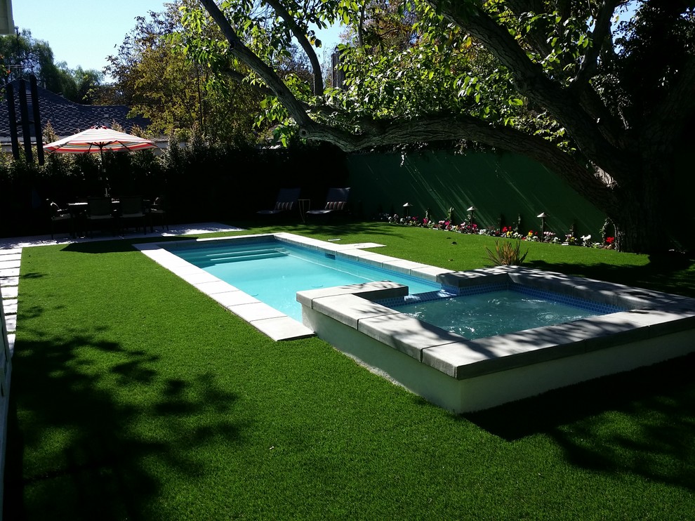 Photo of a small modern backyard rectangular natural pool in Los Angeles with a hot tub and concrete pavers.