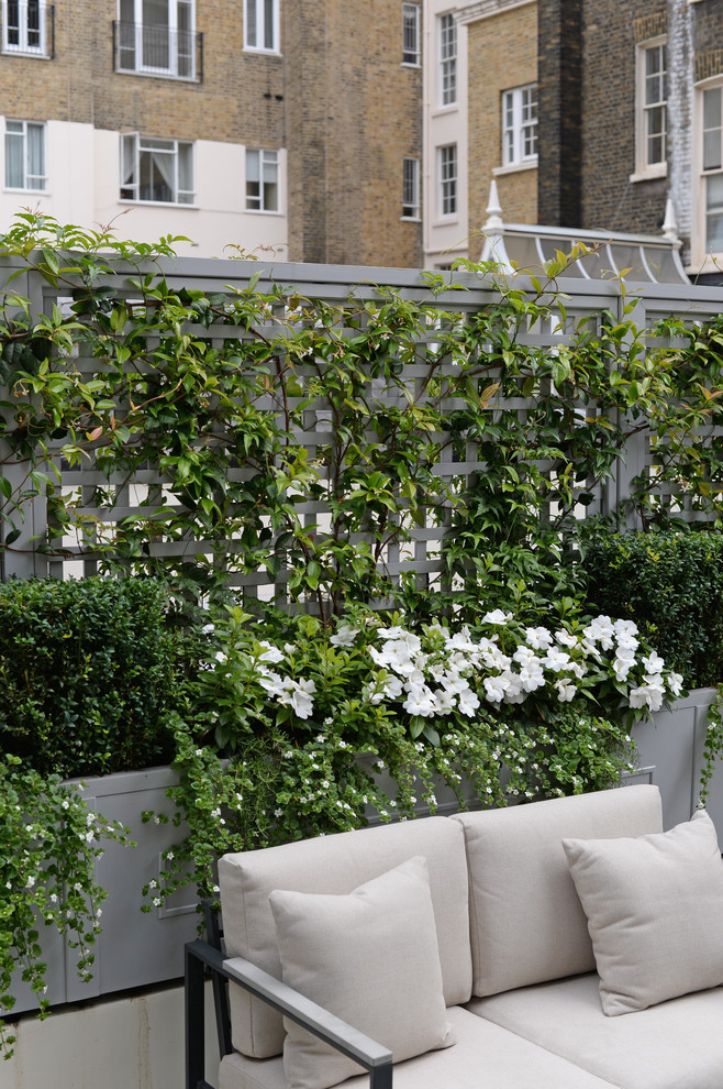 Small traditional rooftop deck in London with a container garden and no cover.