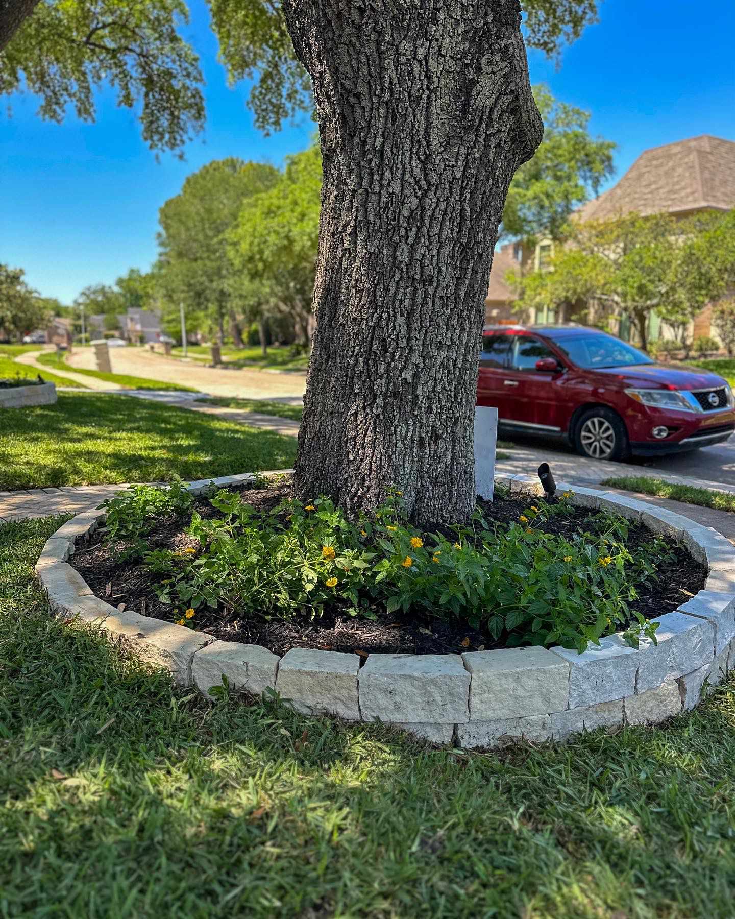 Front and Back yard makeover in Del Monte HTX