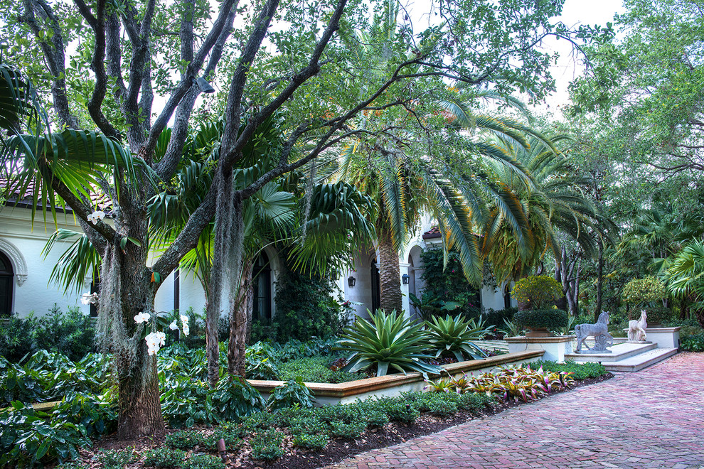 Photo of an expansive tropical front yard partial sun driveway in Miami with brick pavers.