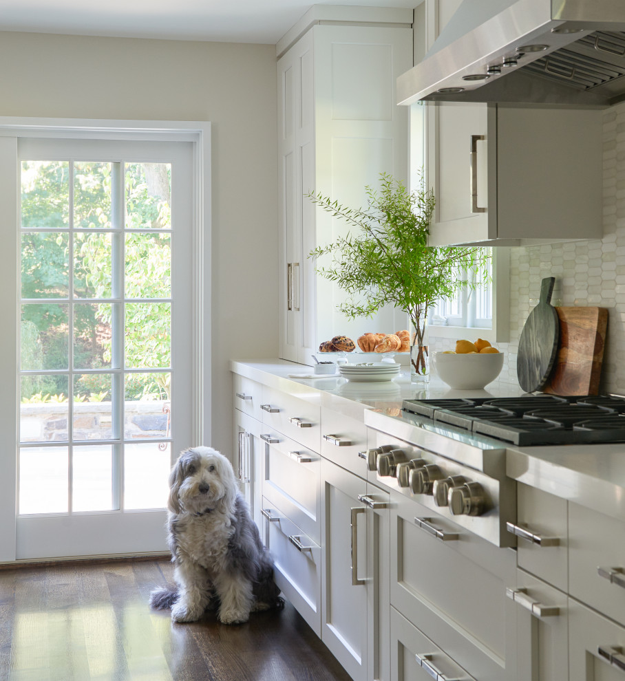 This is an example of a transitional l-shaped kitchen pantry in New York with shaker cabinets, quartz benchtops, grey splashback, stainless steel appliances, a peninsula and white benchtop.