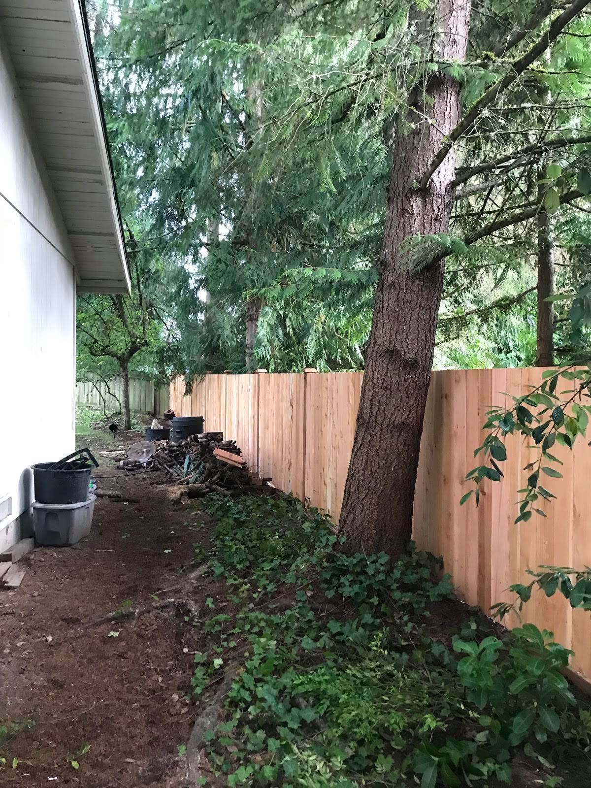 Fence Builds
