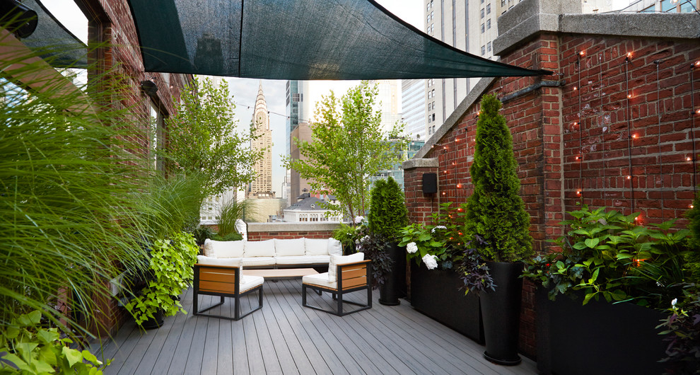 Design ideas for a small traditional rooftop deck in New York with a container garden and an awning.