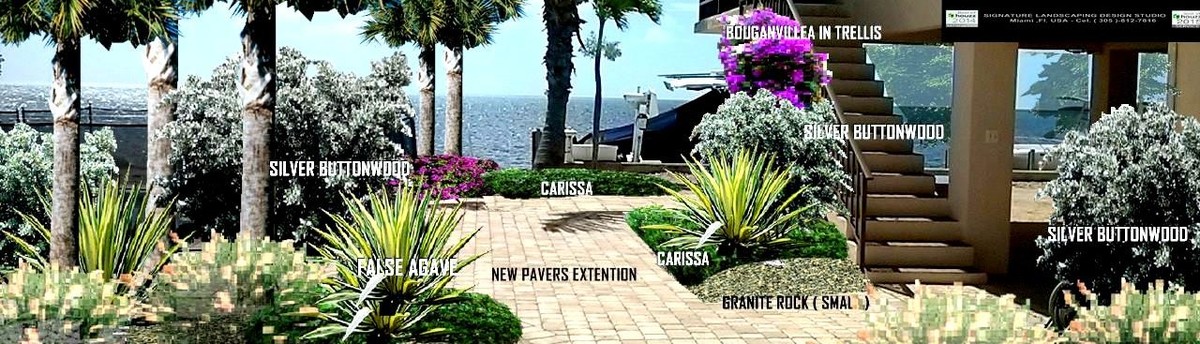 Reviews Of A Diaz Llompart Landscaping Design Studio Miami Fl Us Reviews Of A Diaz Llompart Landscaping Design Studio Miami Fl Us 33138