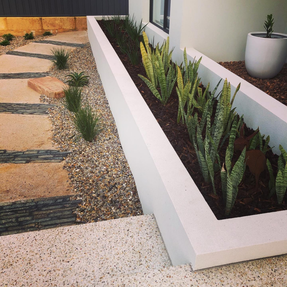 Photo of a mid-sized contemporary front yard full sun xeriscape in Perth with with raised garden bed and gravel.