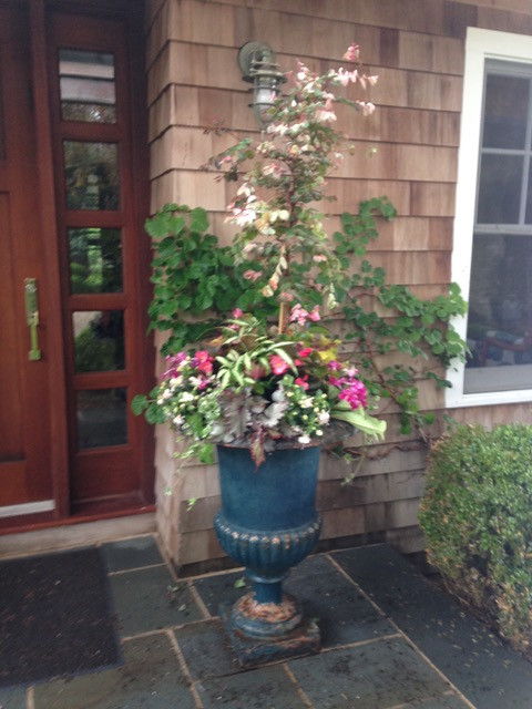 Spring and Summer Container Gardens