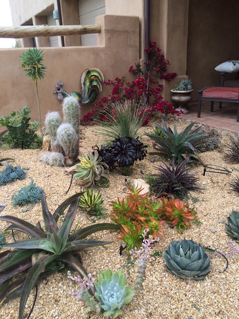 ichendorf cactus Green Cactus Box main image 1