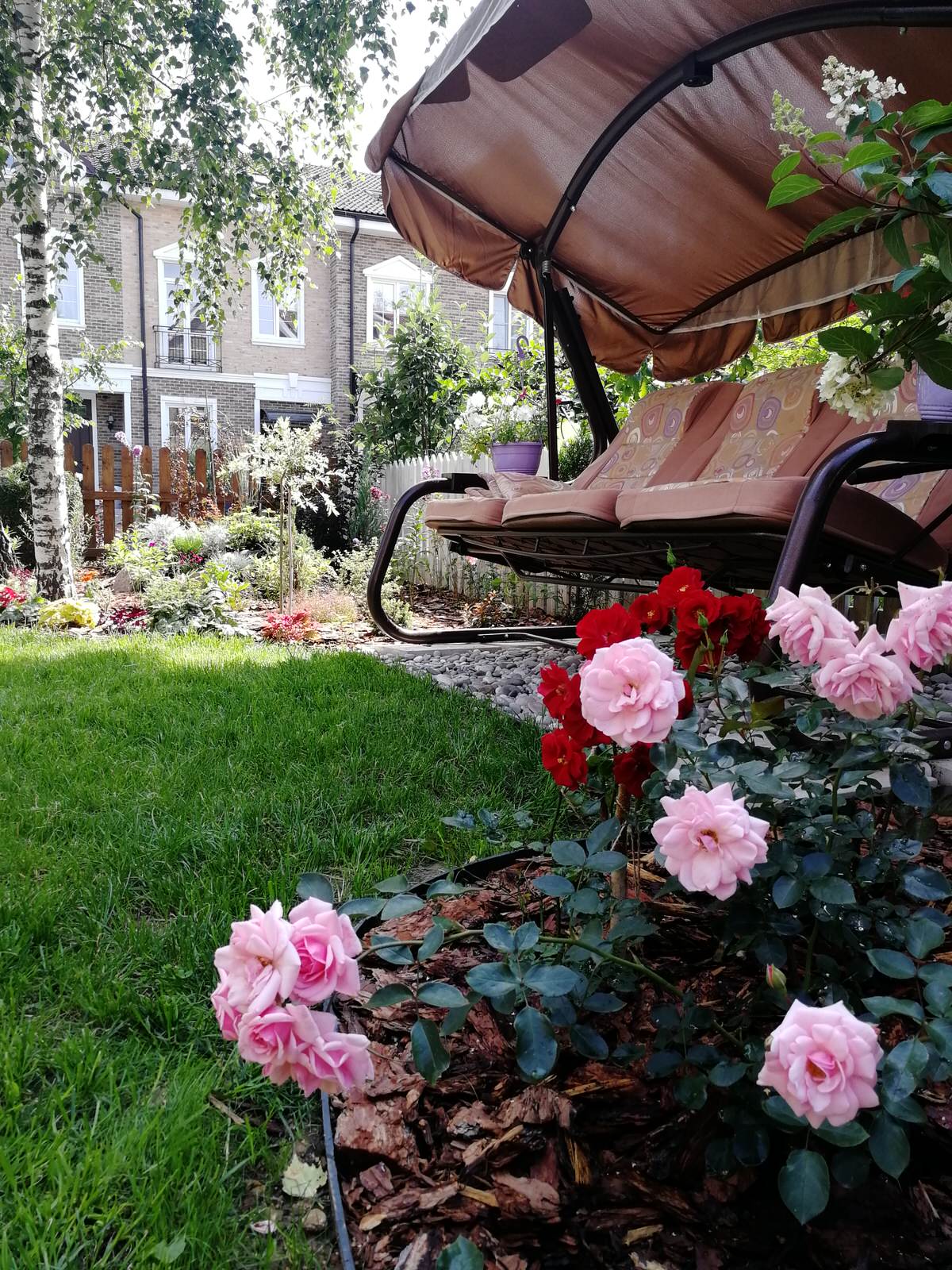 Реализация проект "Мечта"