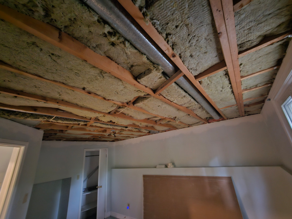 Drywall Ceilings & Interior basement painting. (Guelph)