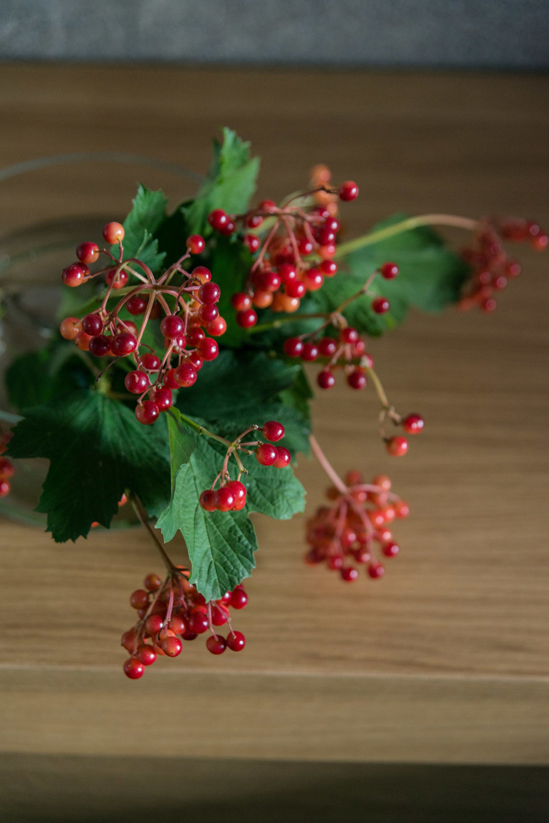 Квартира в Московских Водниках