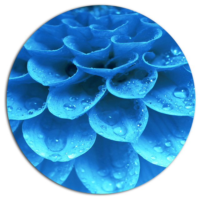 Light Blue Flower and Petals, Modern Floral Round Metal Wall Art