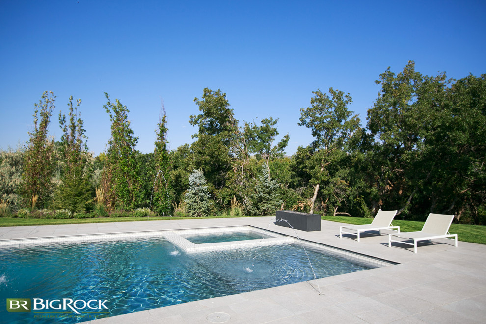 Esempio di una piscina minimalista rettangolare dietro casa con fontane e pavimentazioni in cemento