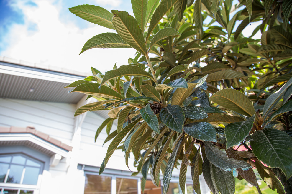 Ландшафтный Дизайн Олимпийский Сочи