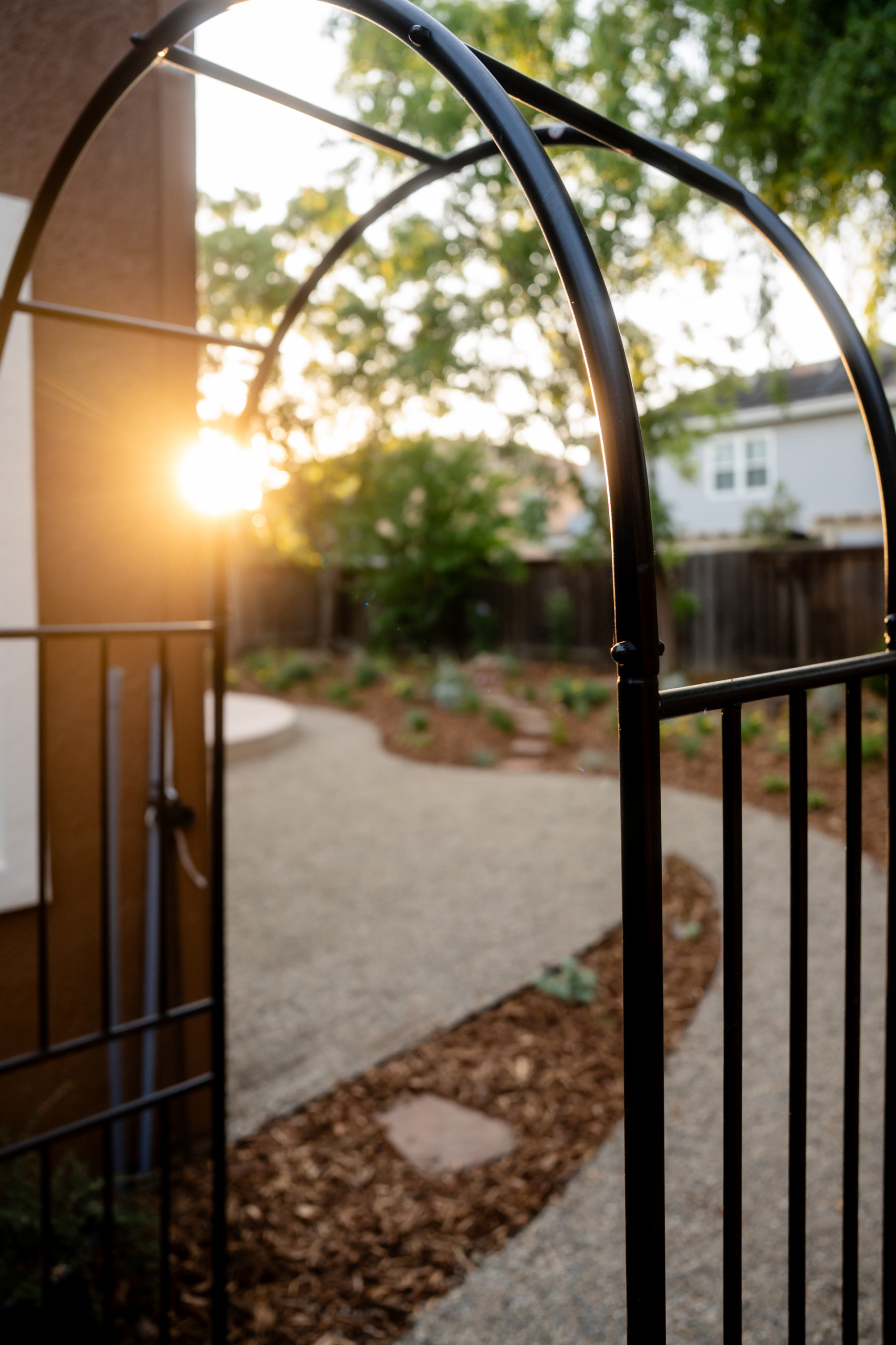 A Glimpse into the Garden Beyond