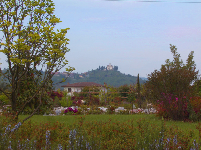 Sample modern-garten