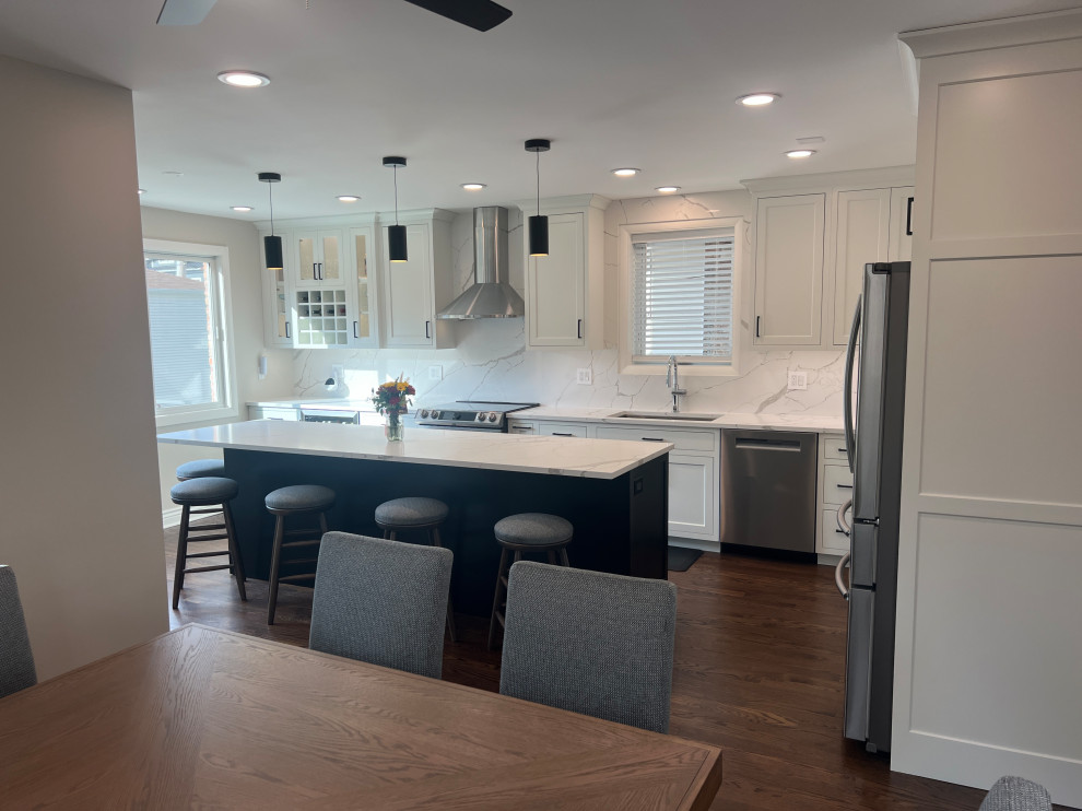 Chicago Kitchen/Dining Renovation