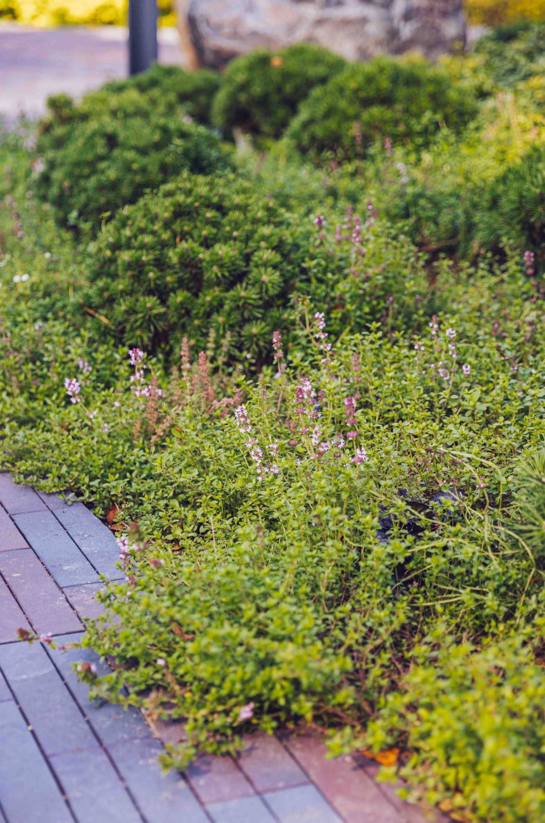 Архитектурное Решение в Пейзажном Стиле