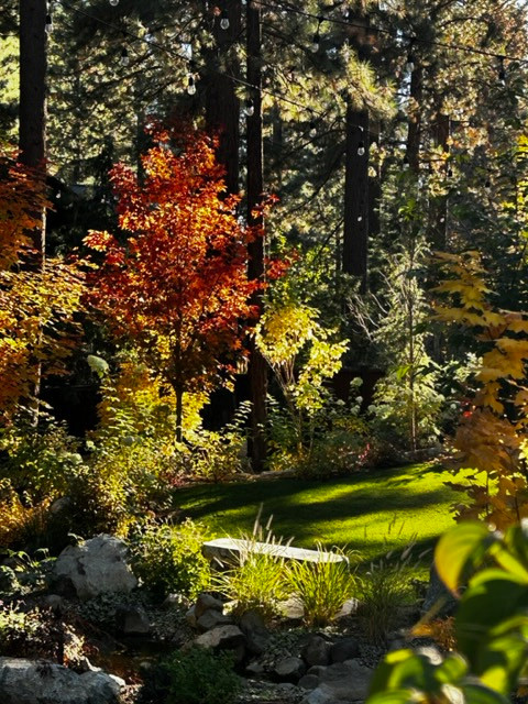 Tahoe Living