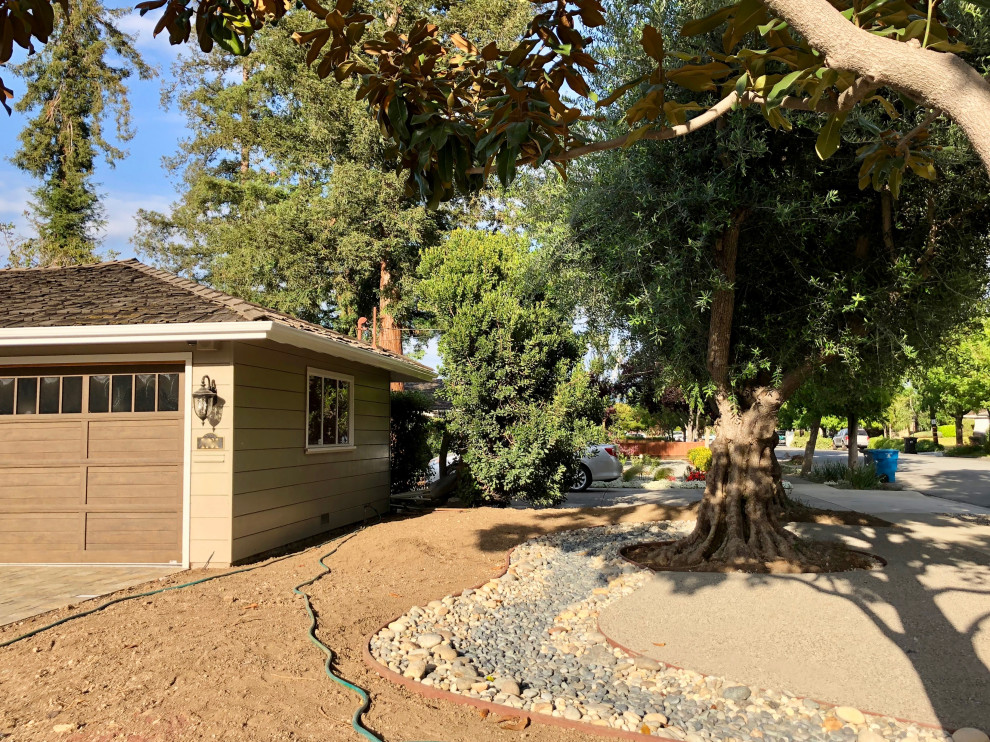 Willow Glen