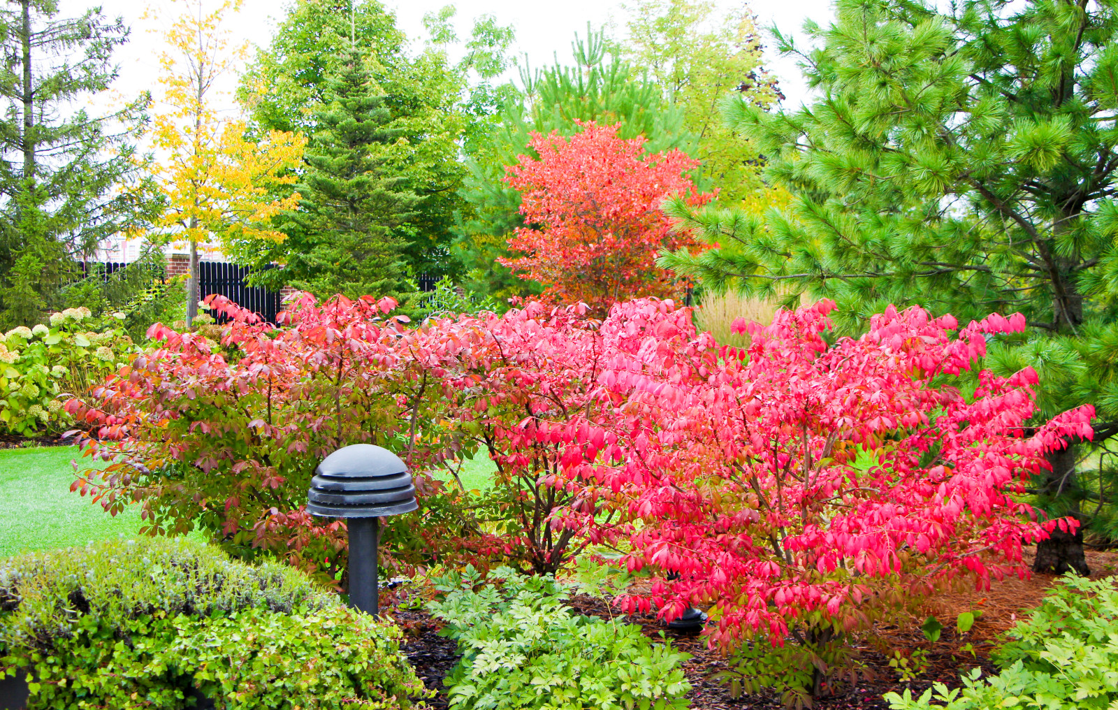 Горки-10, 2017-2020 г.г.