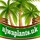 Last commented by Ajwa Plants