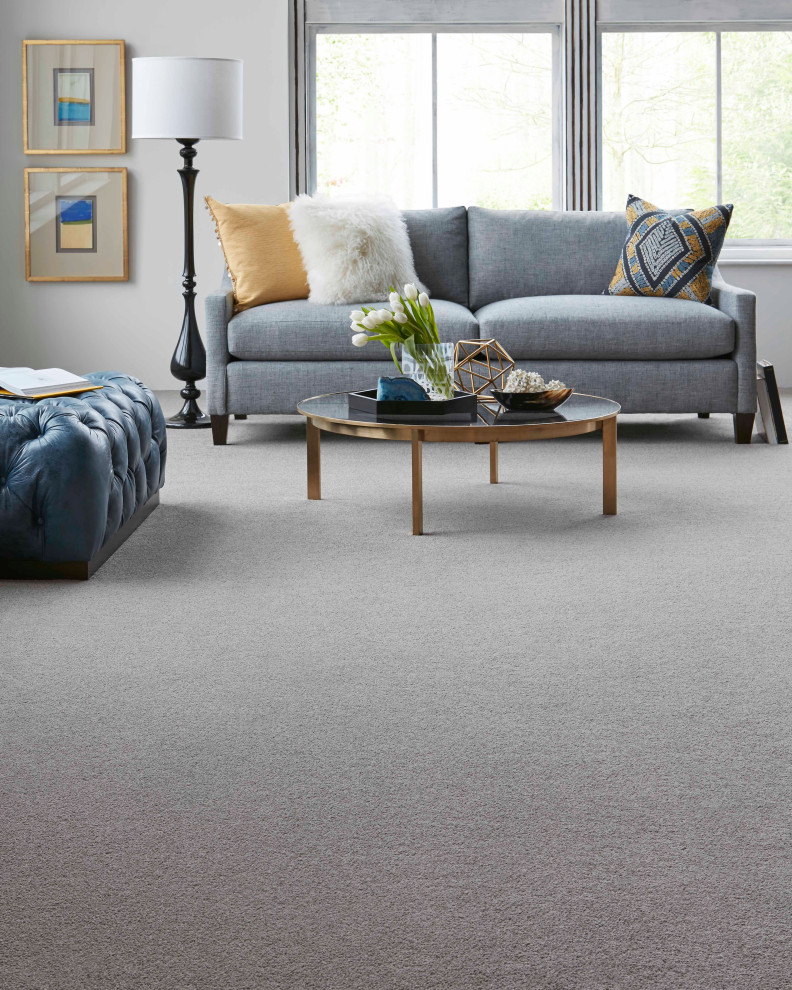Inspiration for a transitional home design remodel in DC Metro