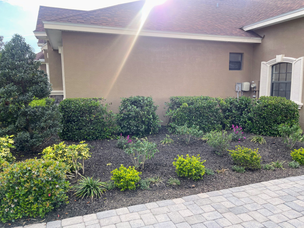 Revamp Landscape New Mulch and Plant Design