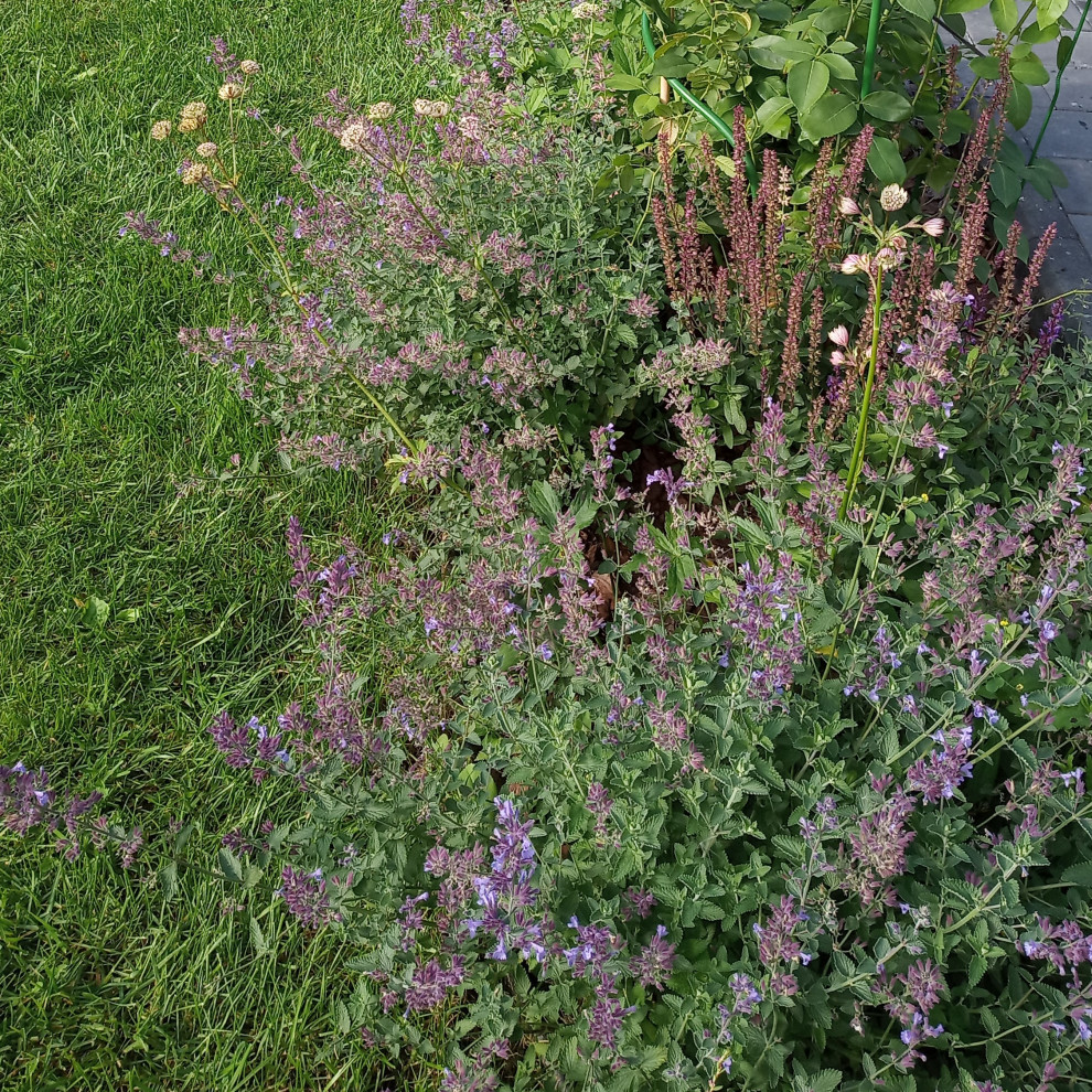 Патио в английском стиле