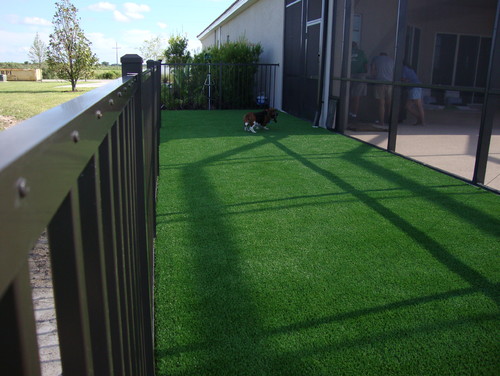Artificial Grass for Dog Areas