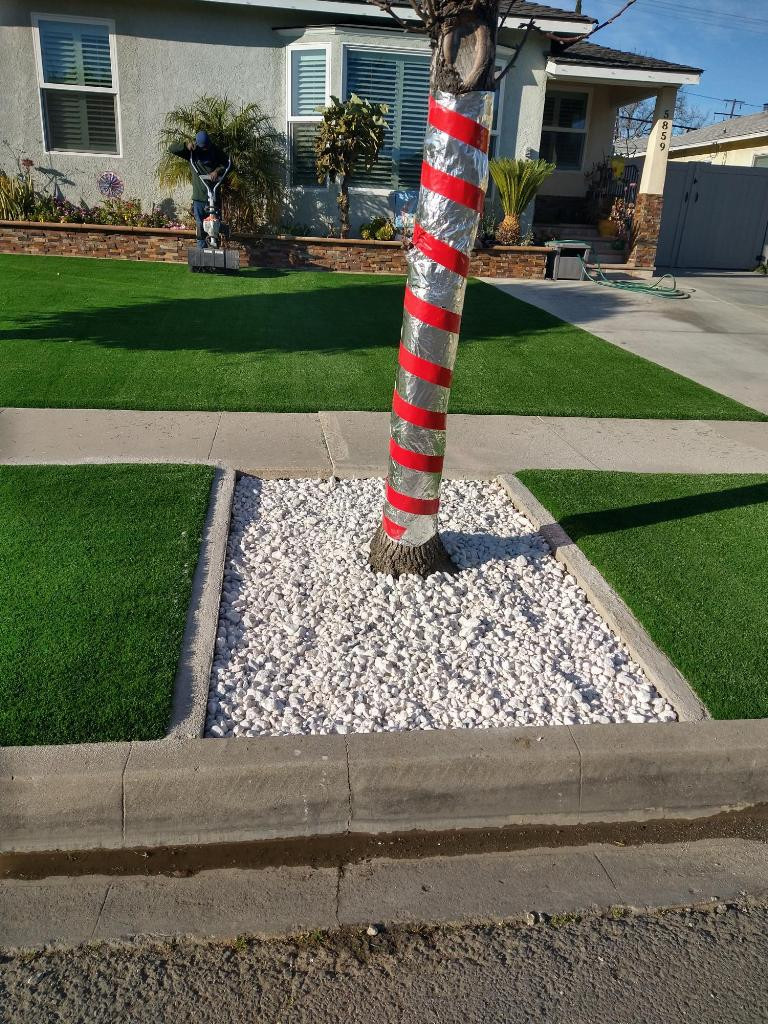 Artificial grass (turf) front yard transformation