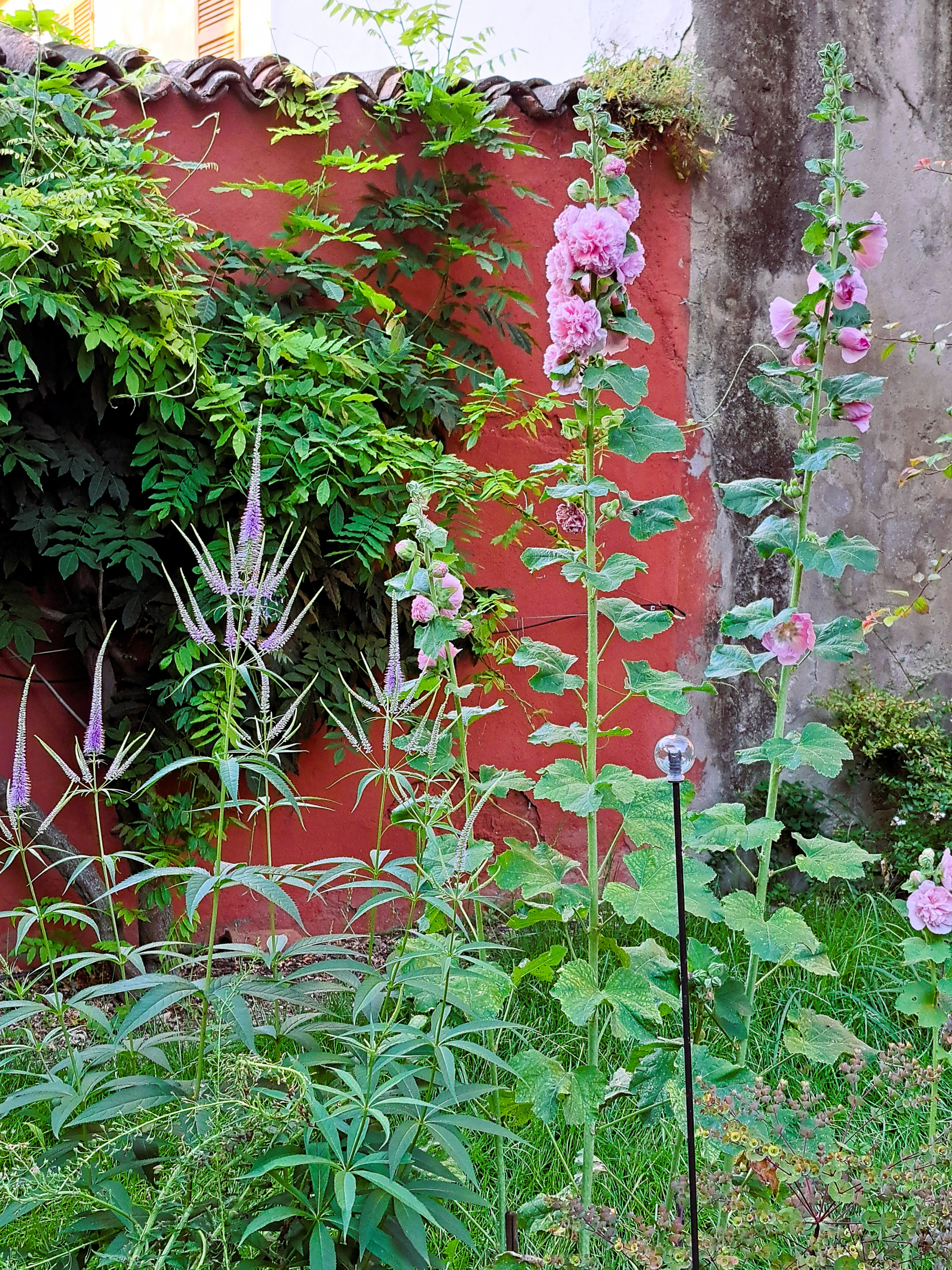 Giardino privato P.S.