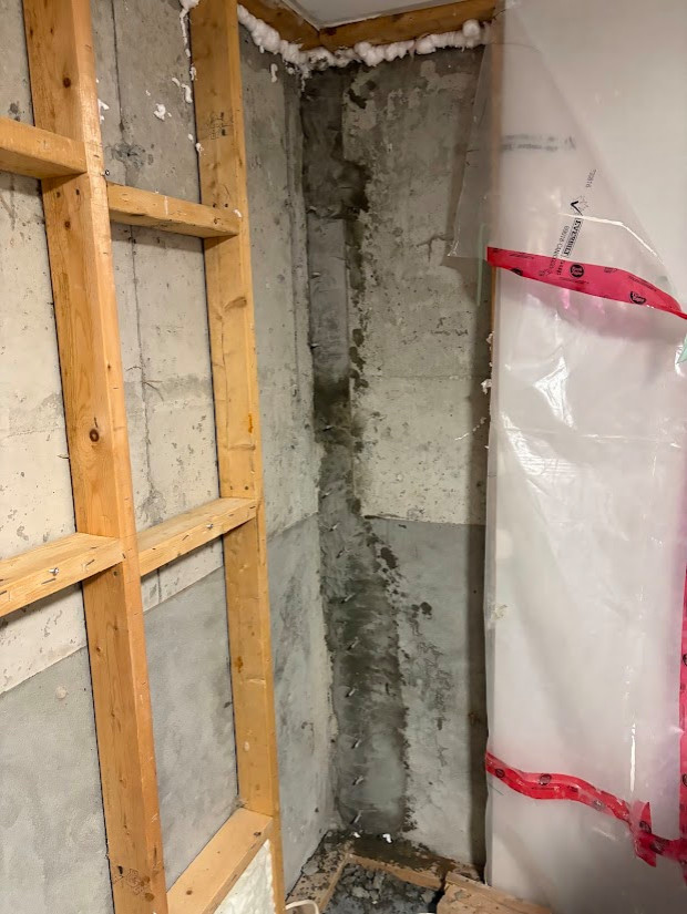 Basement Build - Concrete 2