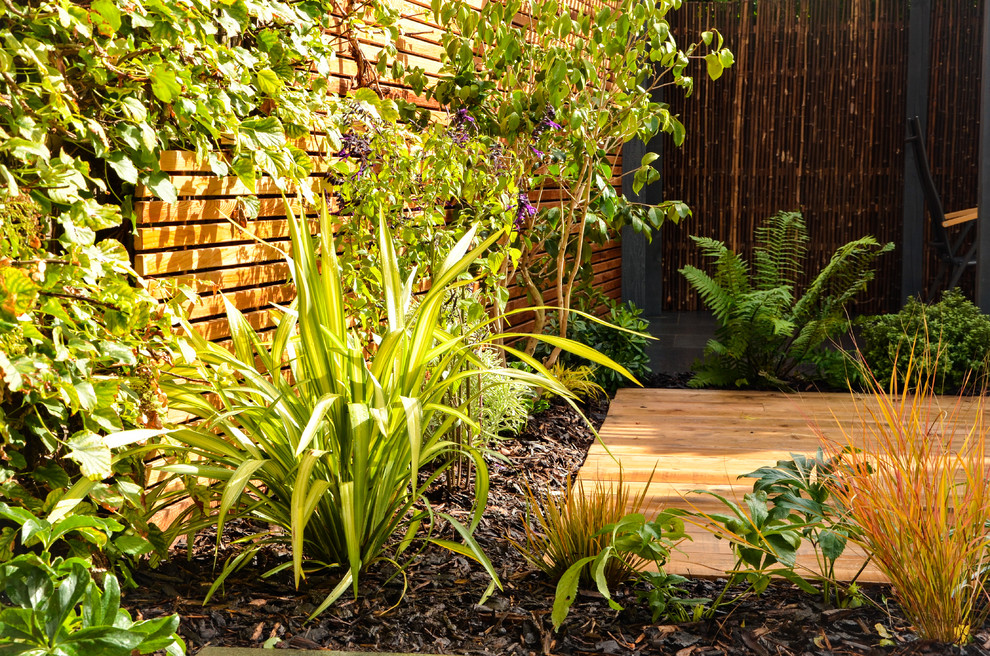 Inspiration for a small contemporary backyard partial sun garden in London.