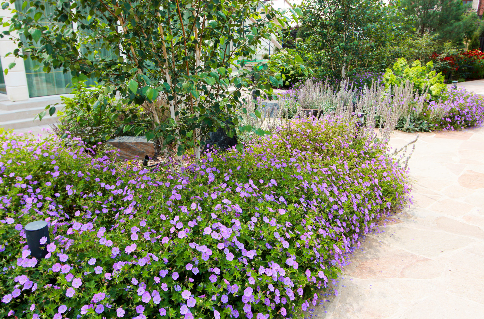 Павлово-2, 2022-2024 г.г.