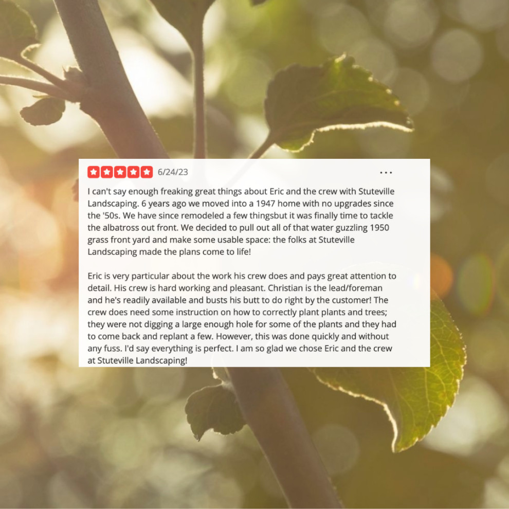 Reviews