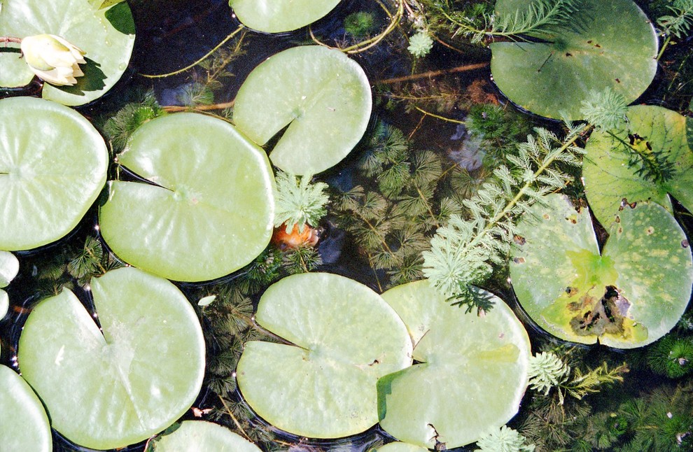 Eikenberry Residence