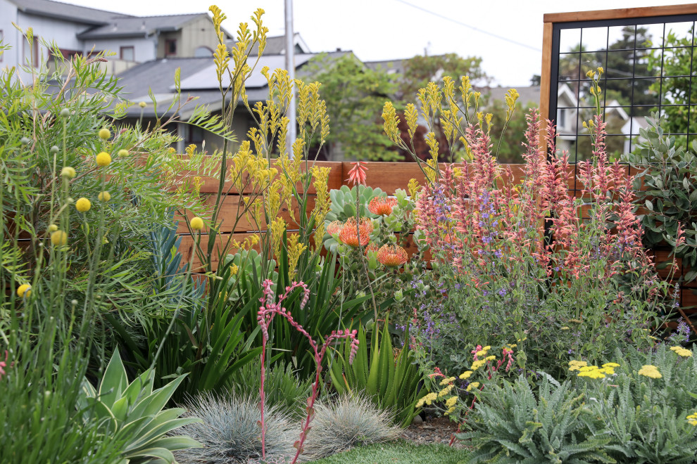 Ispirazione per un giardino xeriscape minimalista esposto in pieno sole di medie dimensioni e davanti casa in estate con un ingresso o sentiero, pavimentazioni in cemento e recinzione in legno