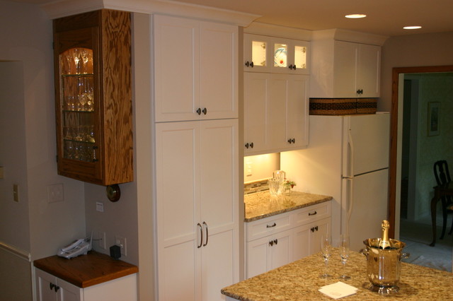 Tranisitional Kitchen Remodel transitional-kitchen