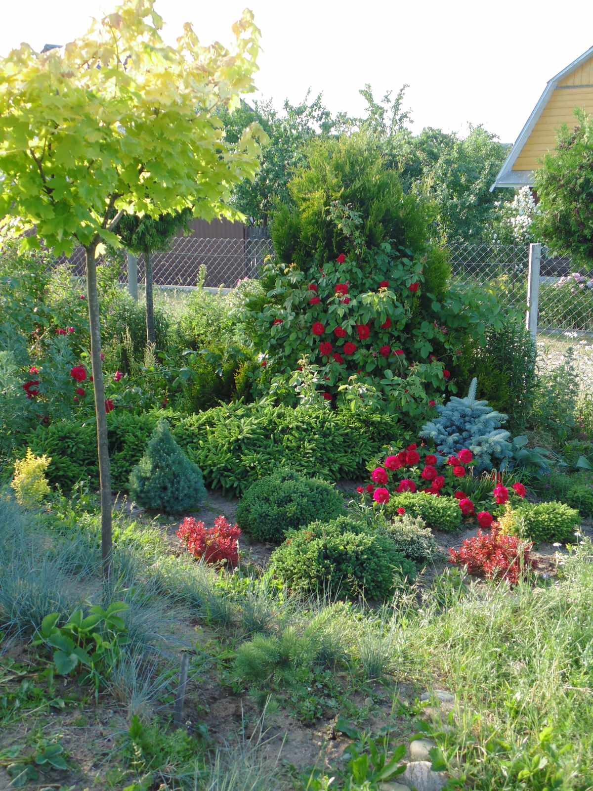 Наш собственный сад