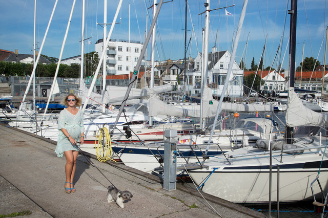 Houzz Tour: Fra “gammel kattebakke” til vidundervilla i Taarbæk