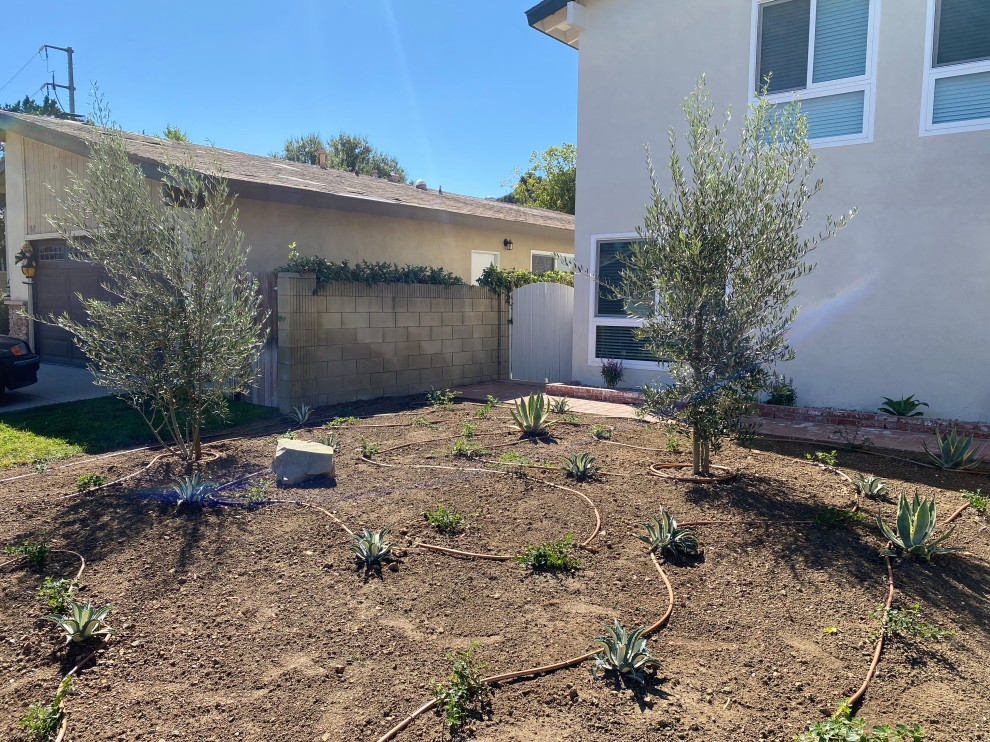 Agoura Hills Exterior Landscape Refresh