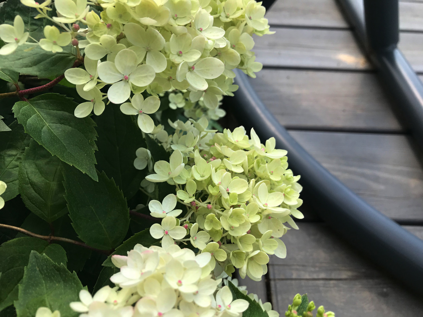 КП Лисавино