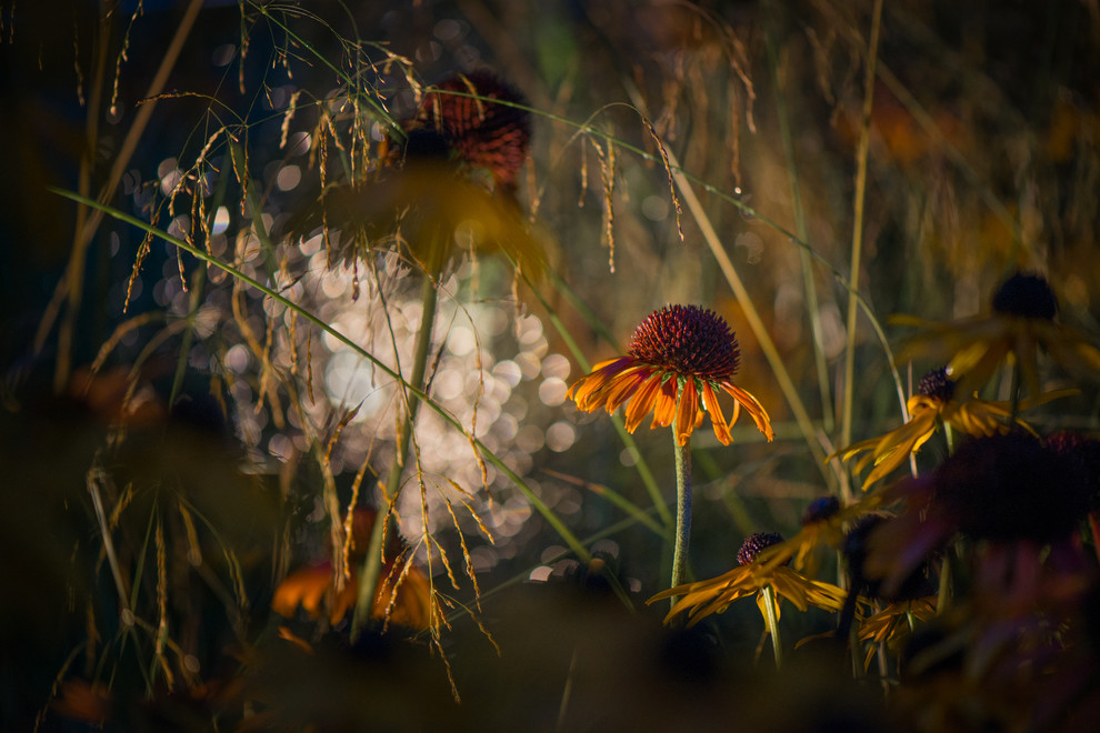 Калейдоскоп