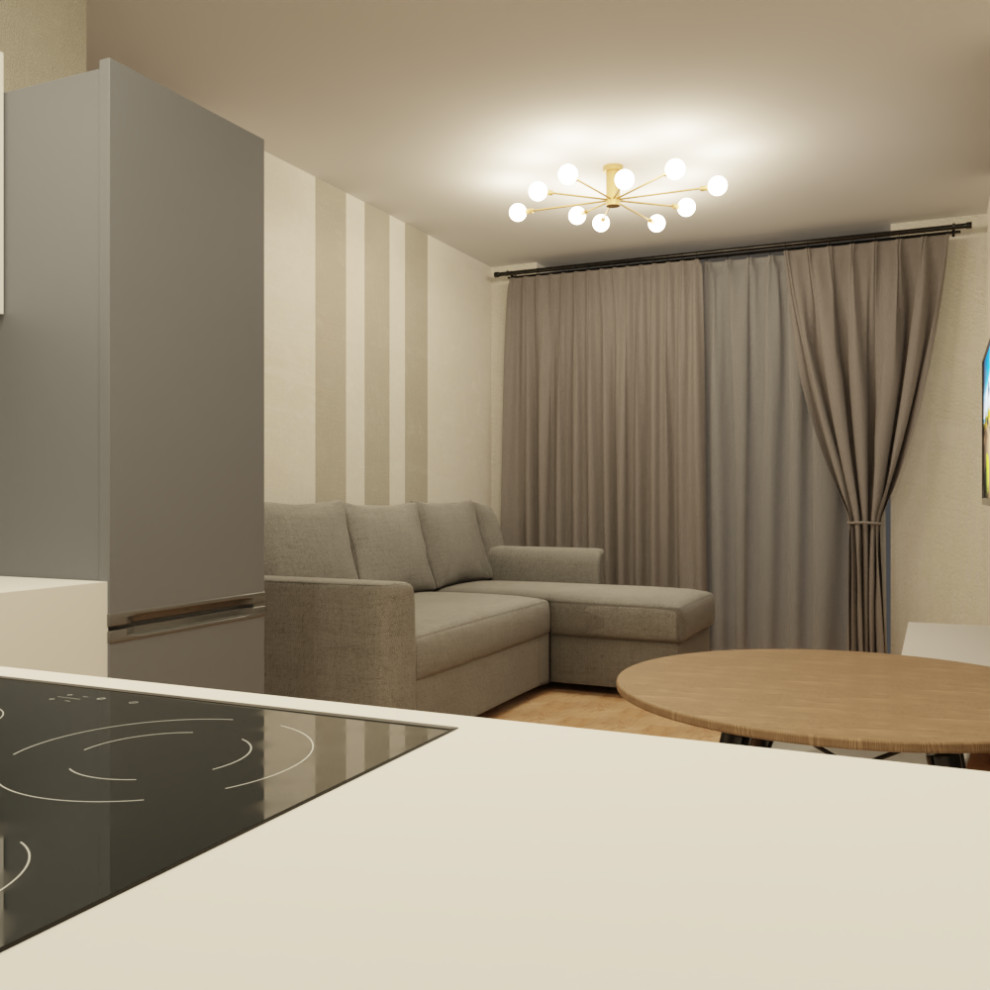 Визуализация трех типовых квартир под сдачу в аренду