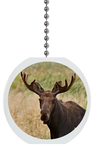 Moose Ceiling Fan Pull Rustic Ceiling Fan Accessories By